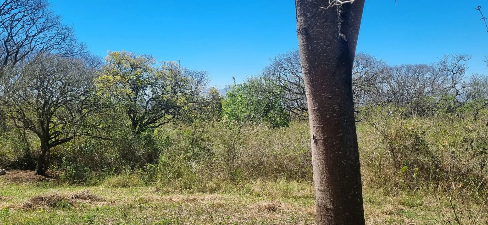 TERRENO EN VENTA EN LOMA HERMOSA, EL CEIBAL 600m2 foto 3