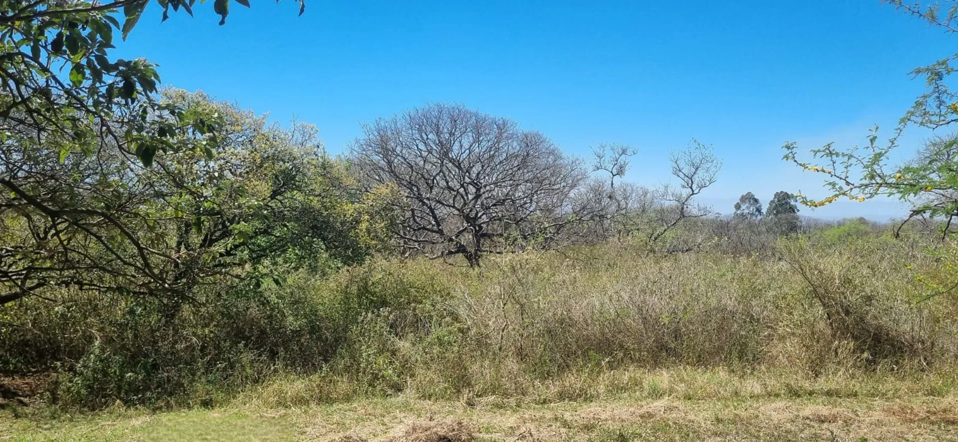 TERRENO EN VENTA EN LOMA HERMOSA, EL CEIBAL 600m2 foto 4