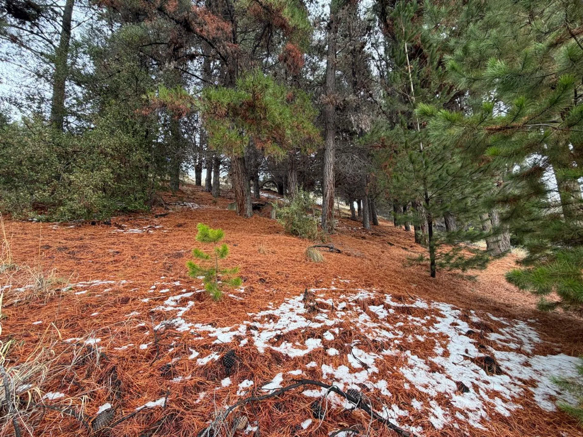 Terreno en Villa Ayelén Esquel foto 2