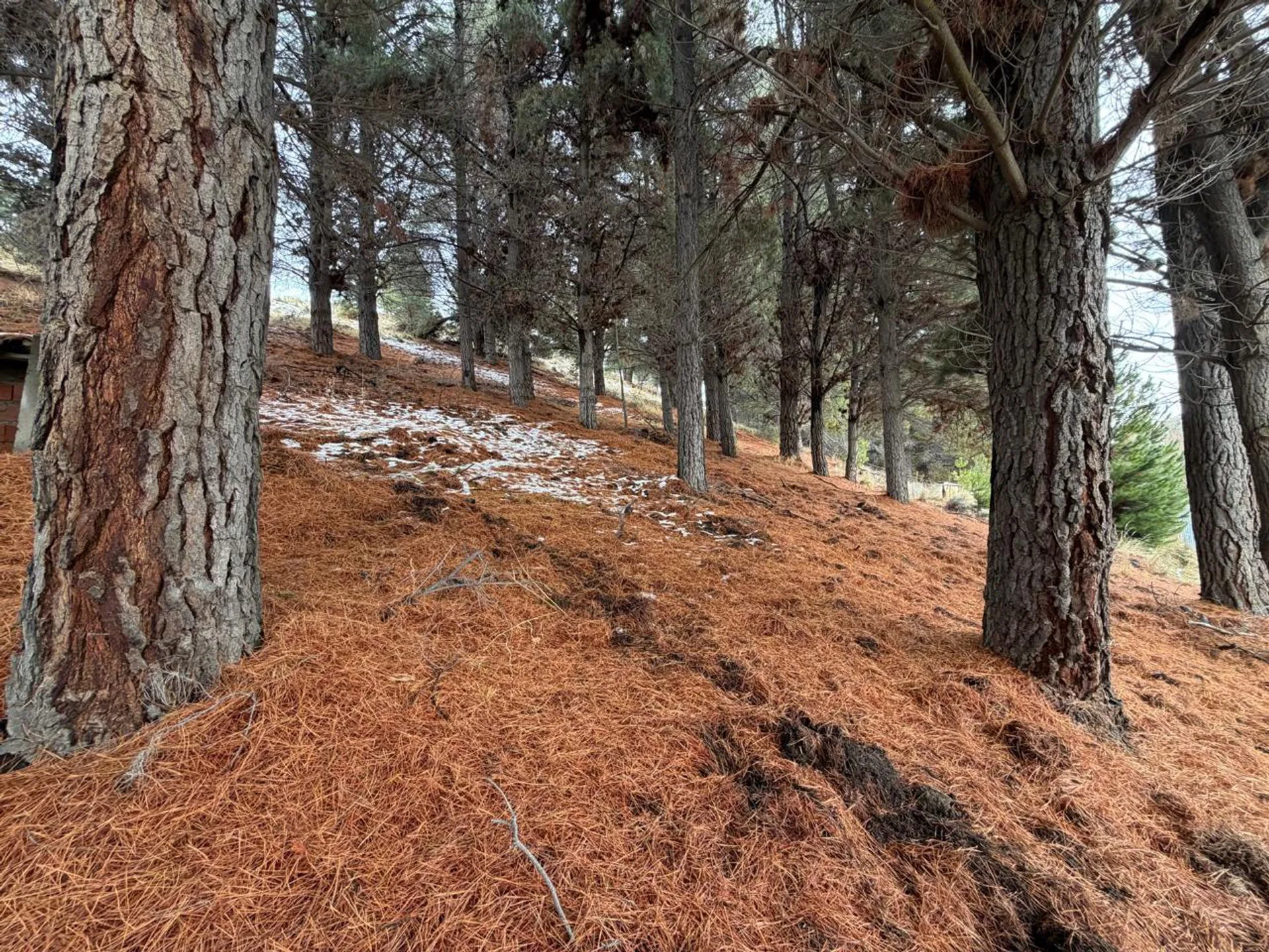 Terreno en Villa Ayelén Esquel foto 5