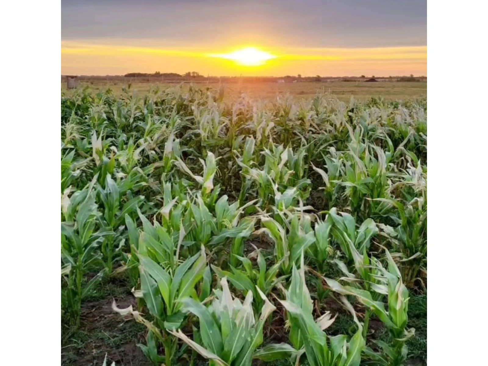 LOTES EN VENTA EN B PRIVADO DE CHACRAS PAMPA DE SAN VICENTE DE 2500 a 5000 m2 foto 2