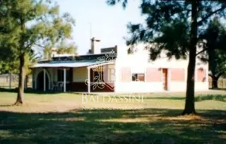CAMPO AGRÍCOLA GANADERO DE 400 HAS. EN TOSTADO - SANTA FE - MUY ARMADO foto 3