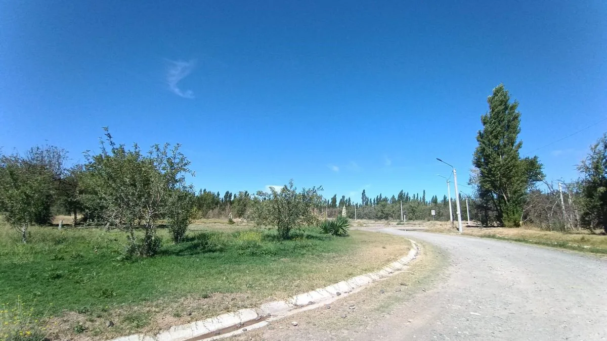 TERRENO EN VENTA B° MANZANAR DE PLOTTIER -PLOTTIER foto 3