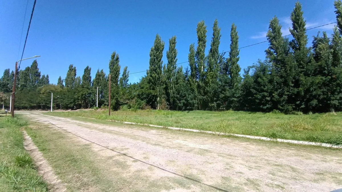 TERRENO EN VENTA B° MANZANAR DE PLOTTIER -PLOTTIER foto 5