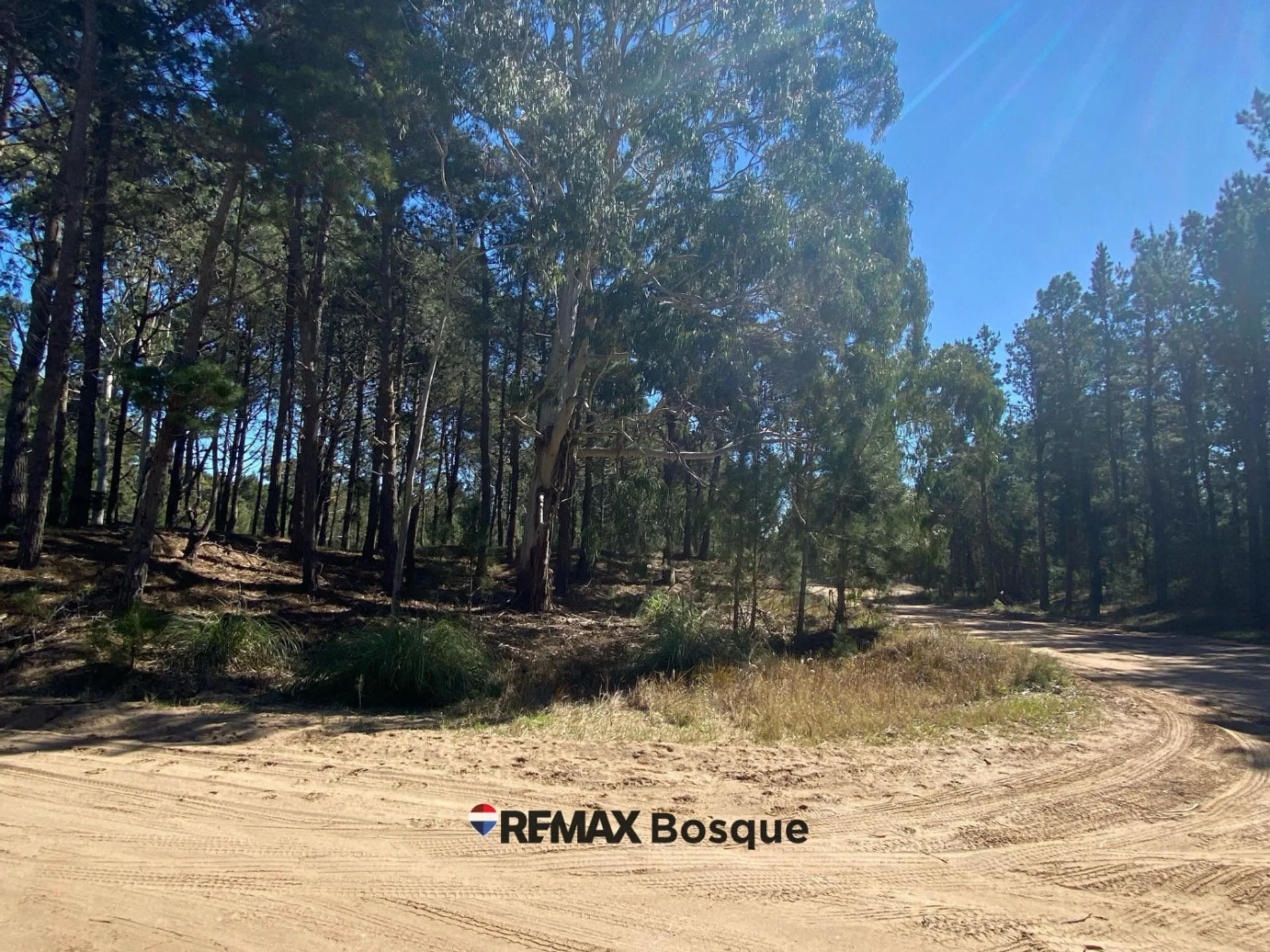 LOTE EN VENTA - VILLA ROBLES, BARRIO SERENA foto 2