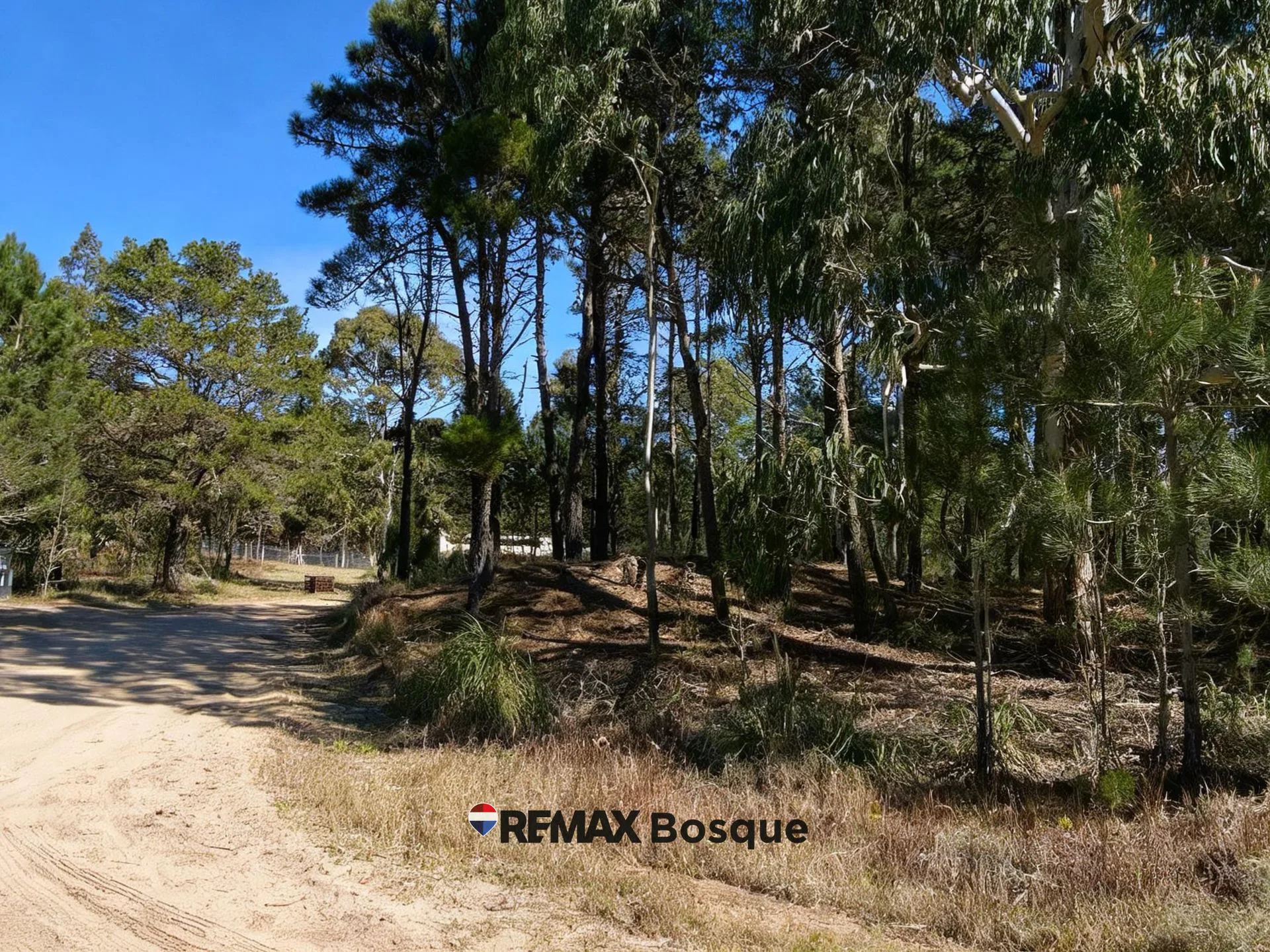 LOTE EN VENTA - VILLA ROBLES, BARRIO SERENA foto 3