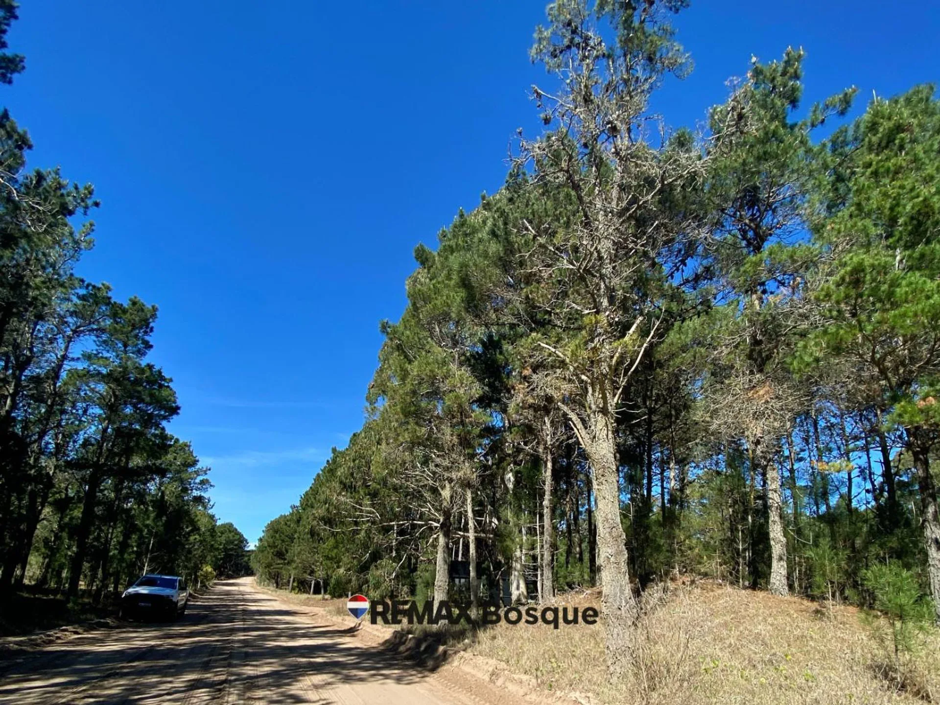 LOTE EN VENTA - VILLA ROBLES, BARRIO SERENA foto 4