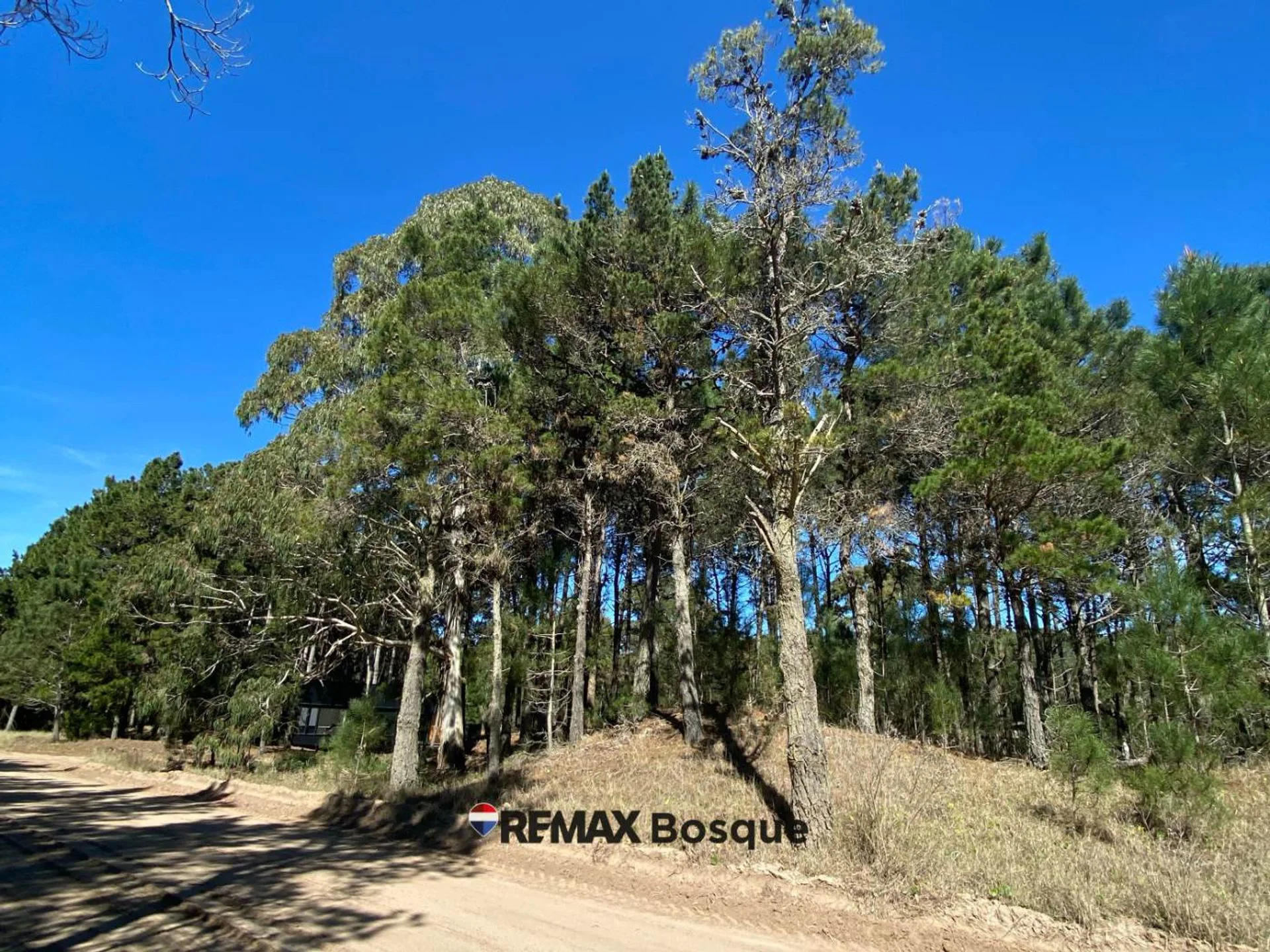LOTE EN VENTA - VILLA ROBLES, BARRIO SERENA foto 5