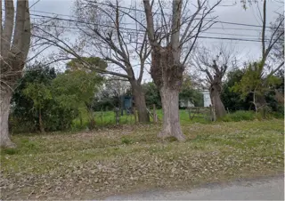 TERRENO en Venta en Pipinas-Punta Indio foto 3