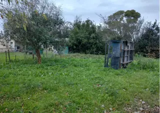 TERRENO en Venta en Pipinas-Punta Indio foto 5