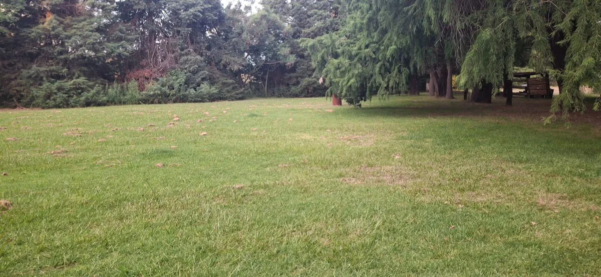 Terreno de 4 hectáreas apto desarrollo logistica foto 4