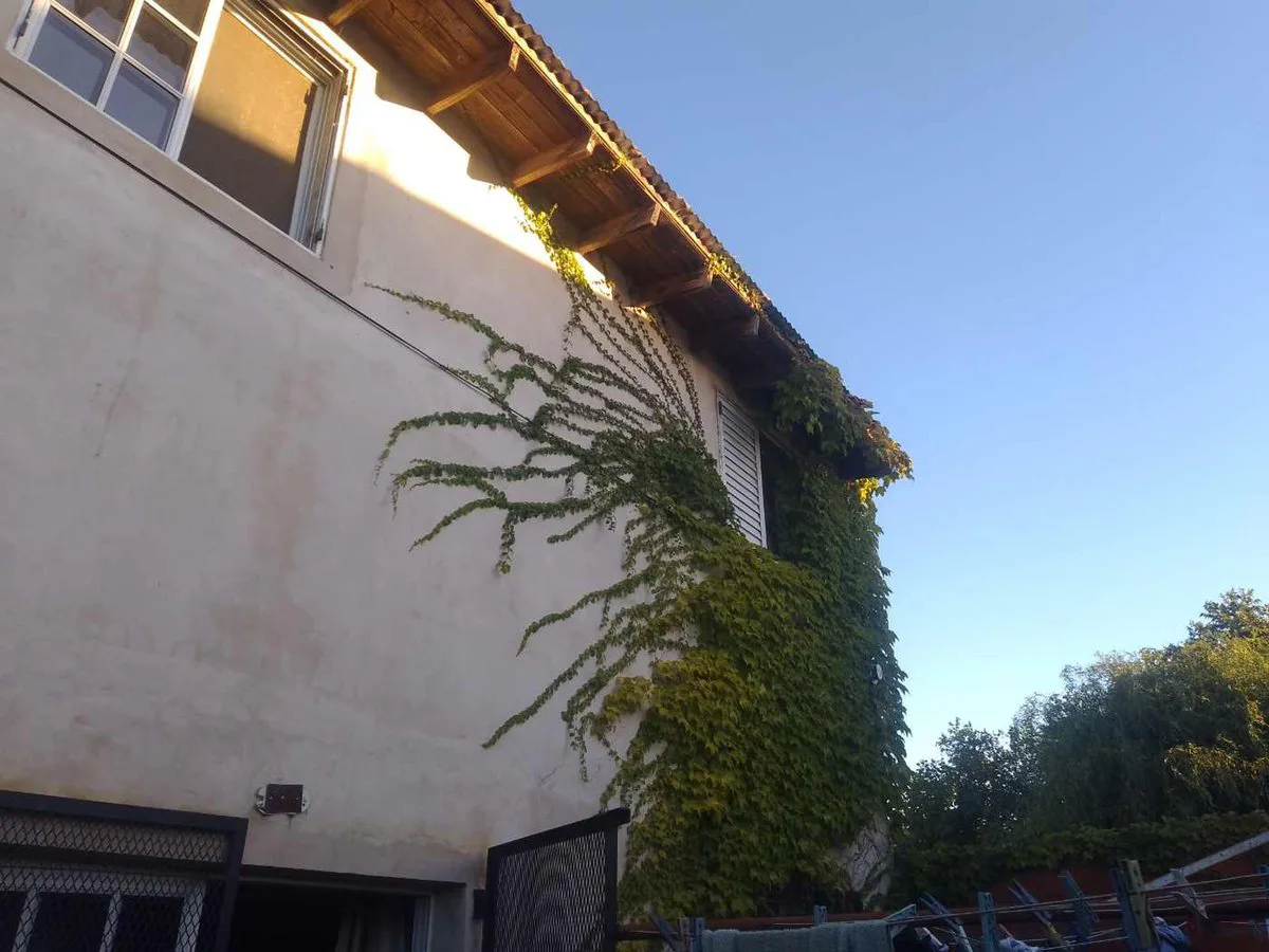 CASA 3 DORMITORIOS EN VENTA BERISSO foto 2