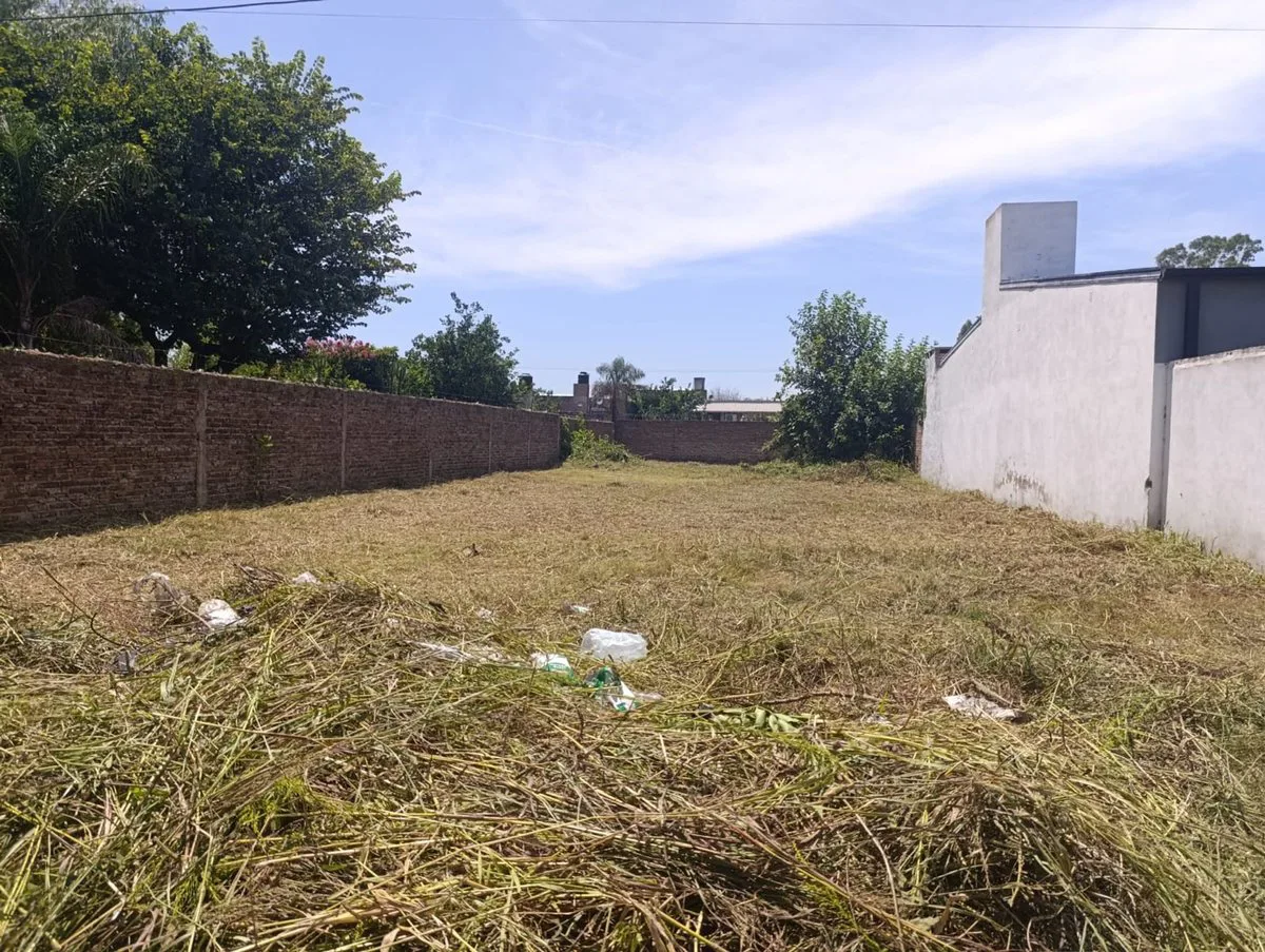 VENTA TERRENO SANTO TOME 12X36 foto 3