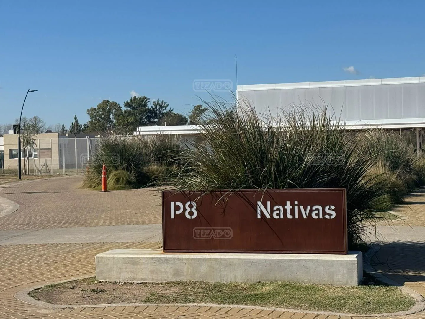 Nativas foto 4