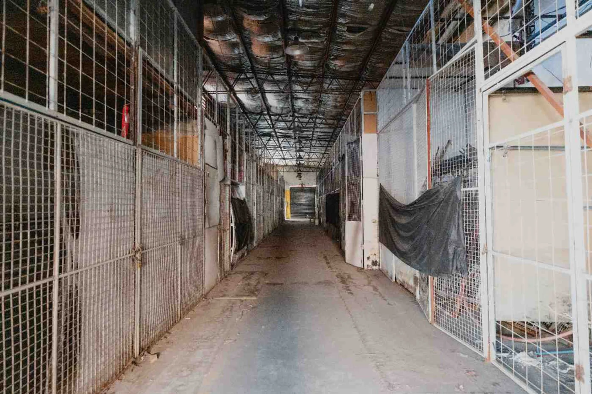 ALQUILER MEGA LOCAL MERCADO PERSIA CALLE CORDO foto 2