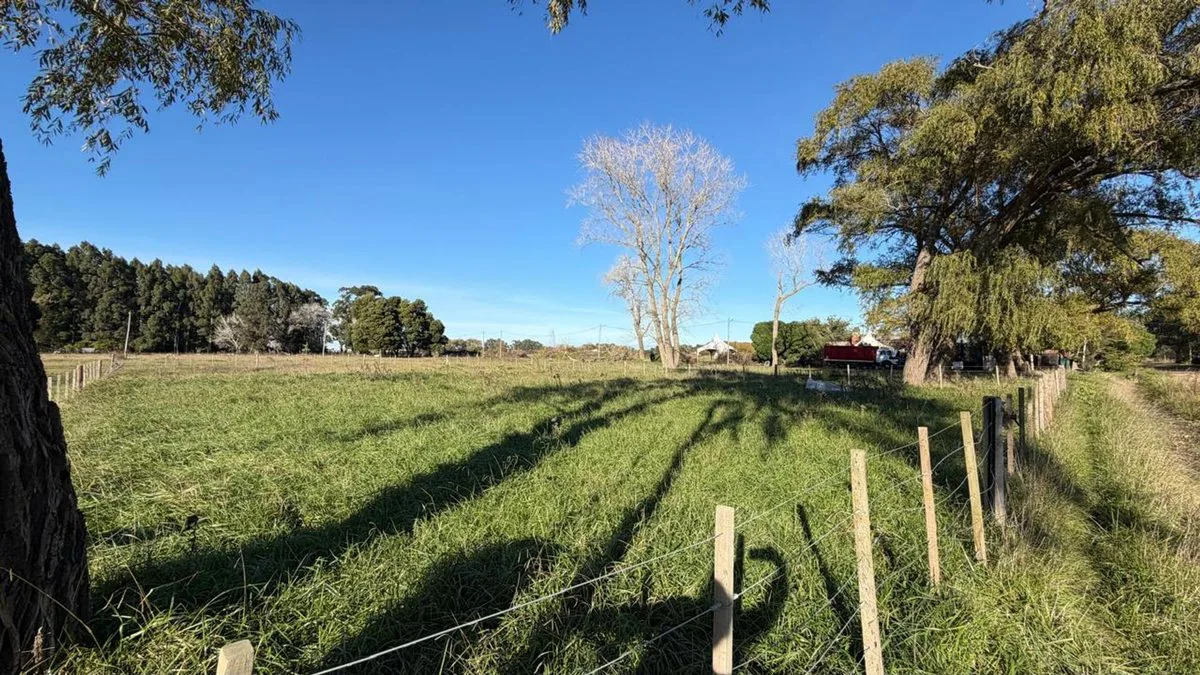 Terreno/Lote en venta General Madariaga
