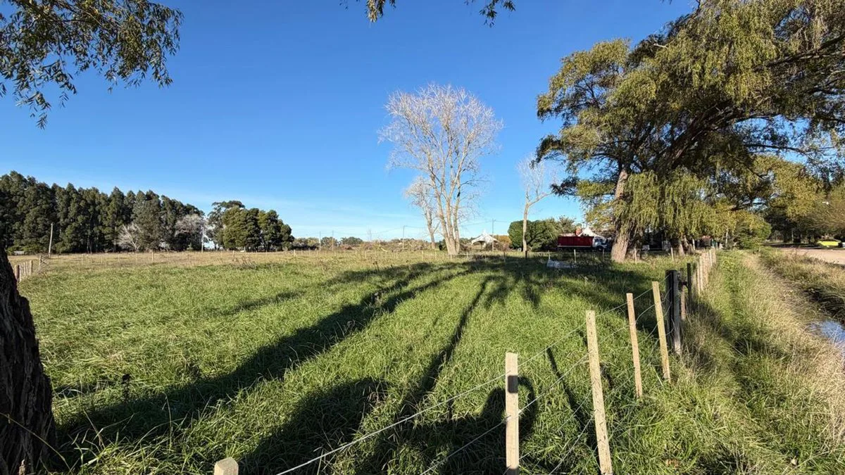 Terreno/Lote  en venta General Madariaga foto 2