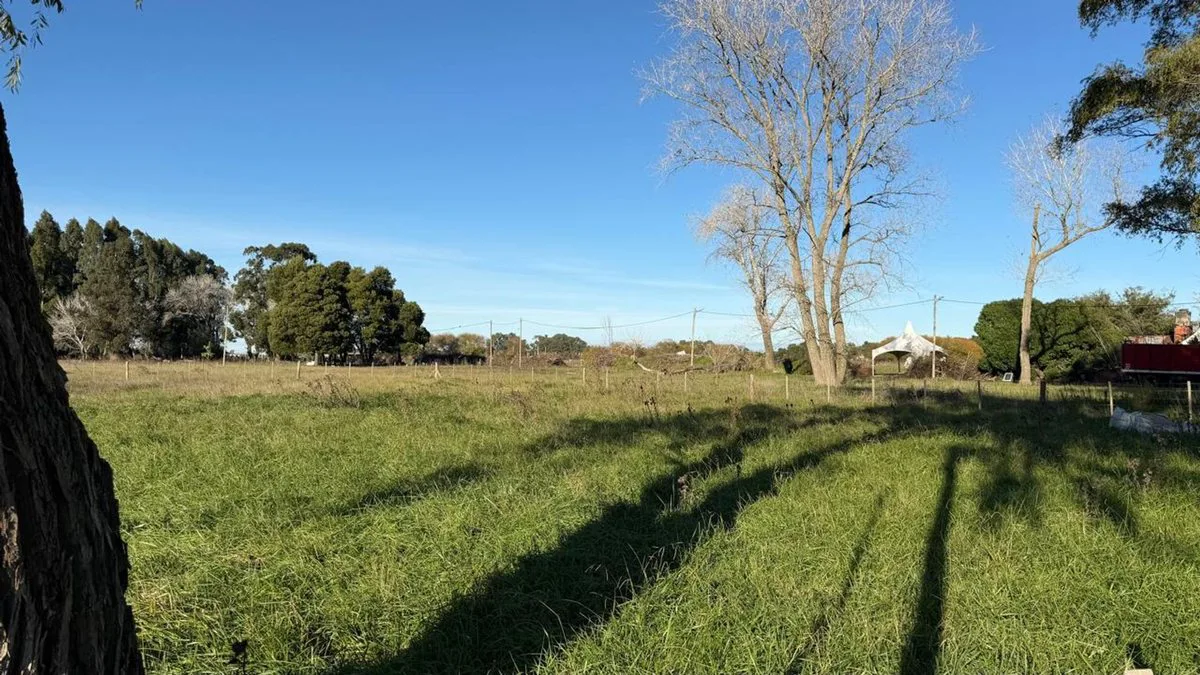 Terreno/Lote  en venta General Madariaga foto 3