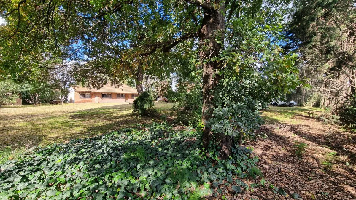 ALQUILER COMERCIAL CASA o LOTES ESCOBAR RUTA 26 foto 5