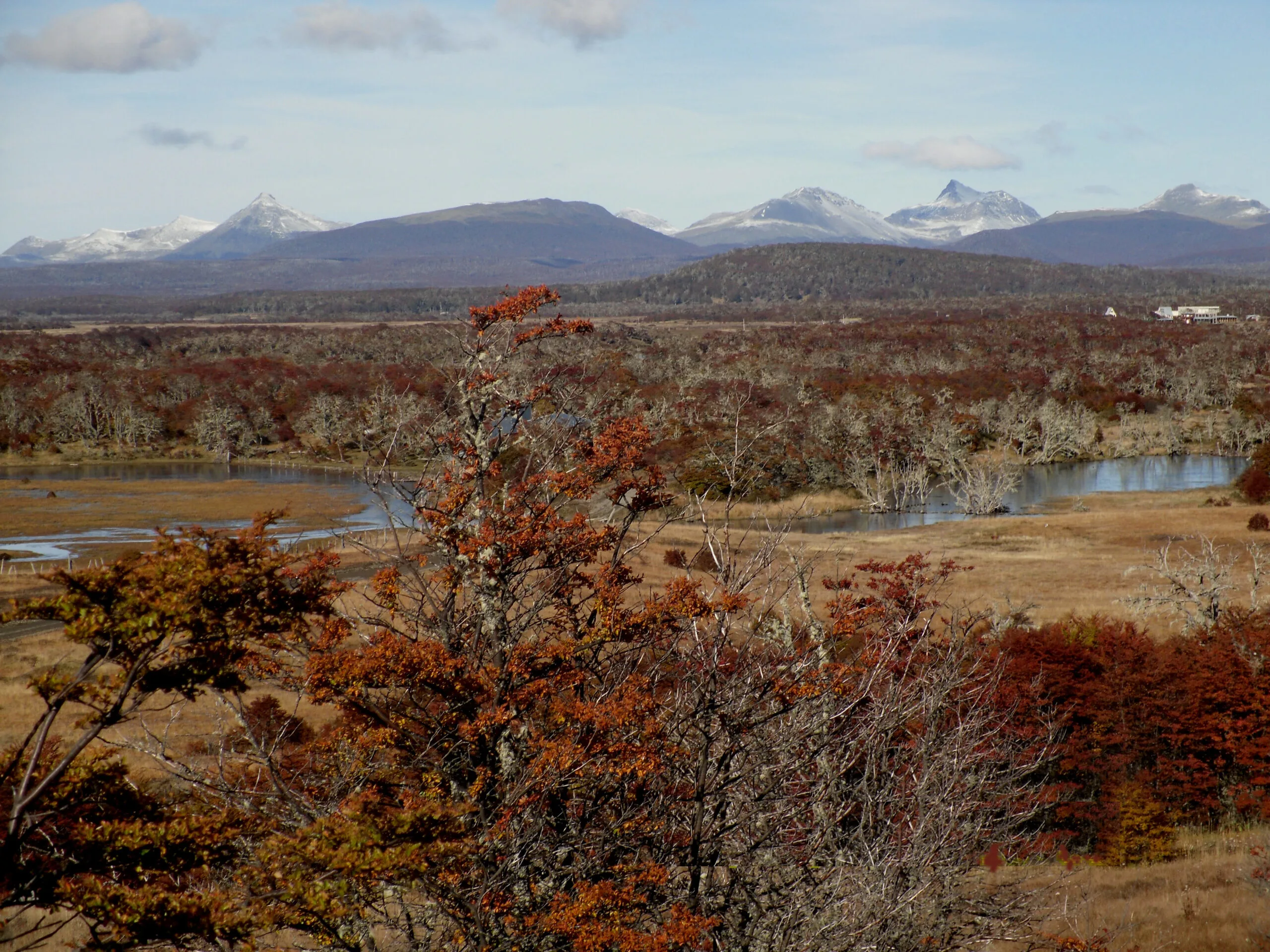 VENTA – PARCELAS RURALES – CHACRAS EWAN SUR foto 3