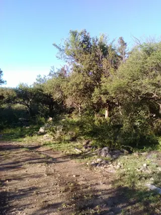 OPORTUNIDAD  VENTA DE TERRENO EN LA TRAVESÍA- LUYABA foto 3