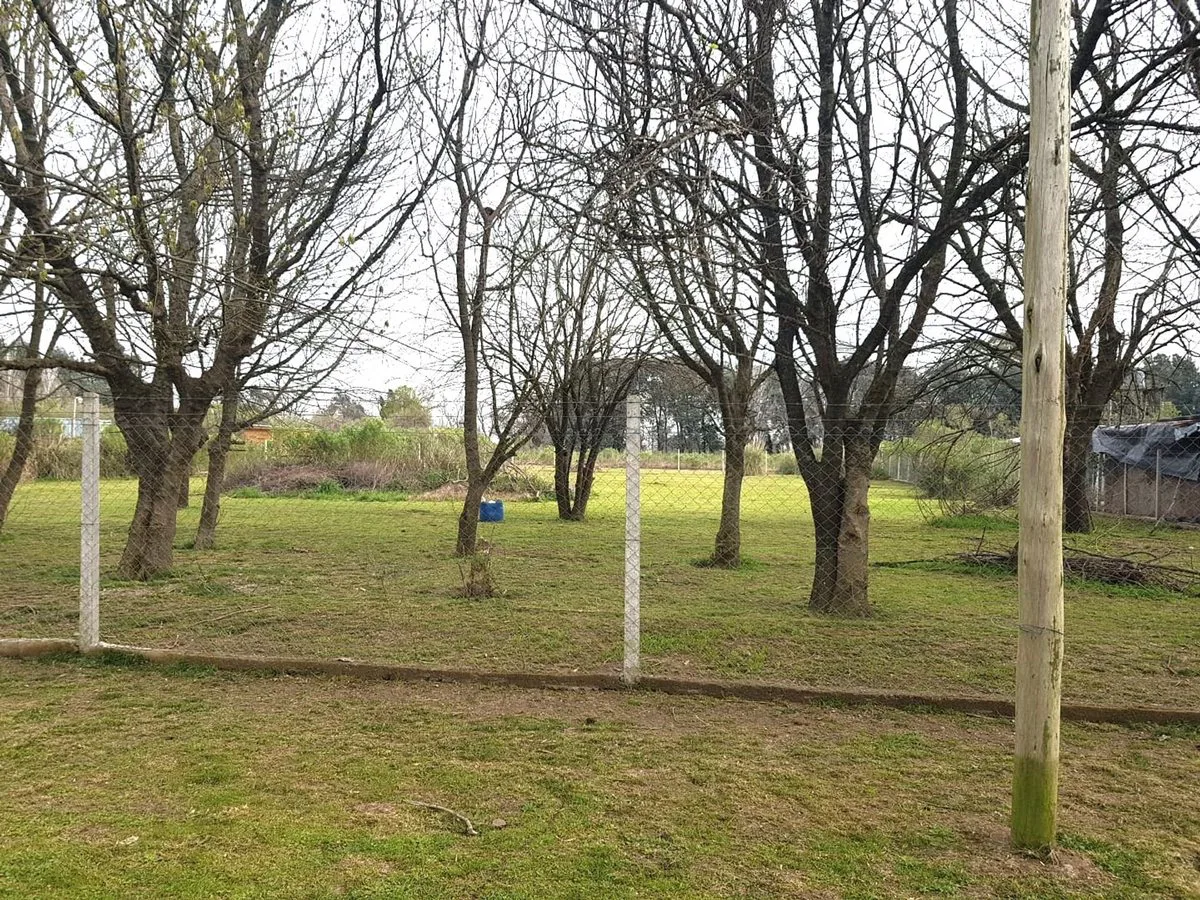 Venta Lote de 3200 m2 en La Reja foto 3