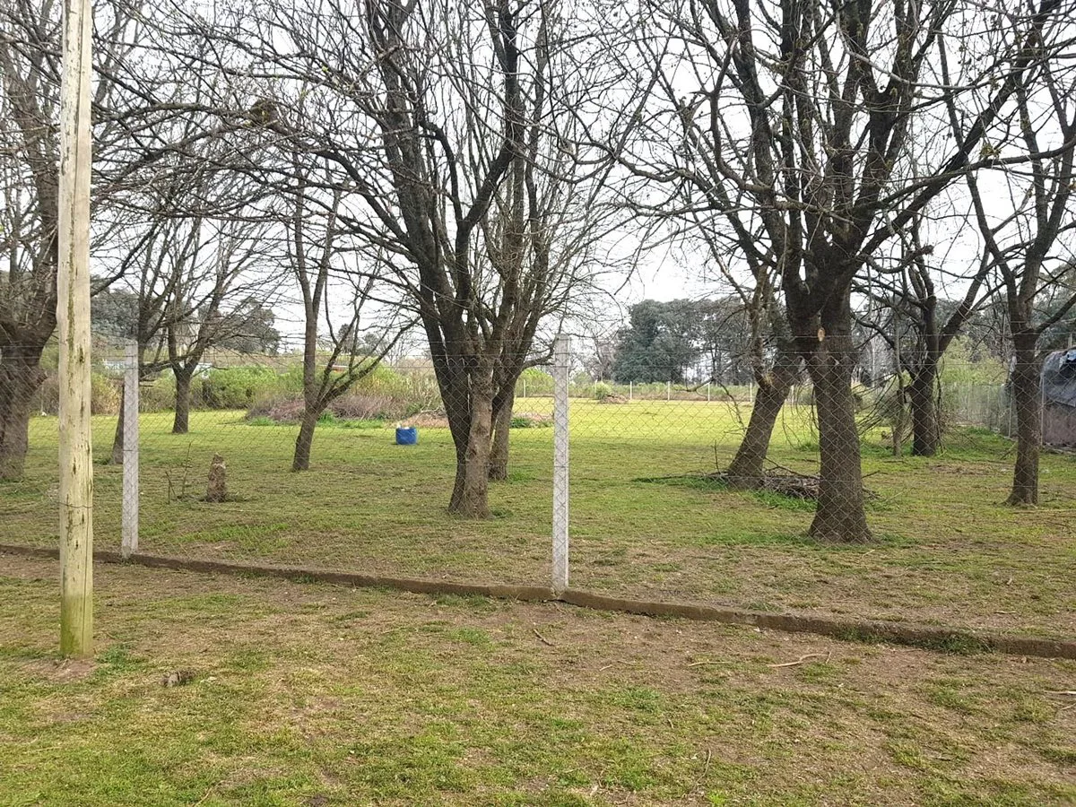 Venta Lote de 3200 m2 en La Reja foto 4