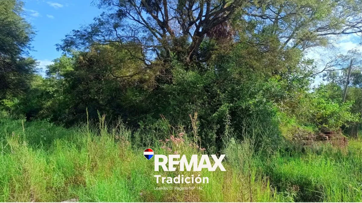 TERRENO EN VENTA EN COLONIA BENITEZ foto 2