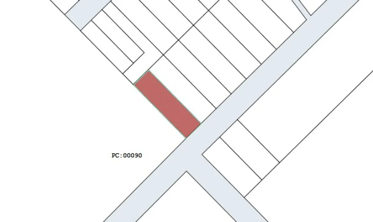 TERRENO EN VENTA EN COLONIA BENITEZ foto 3