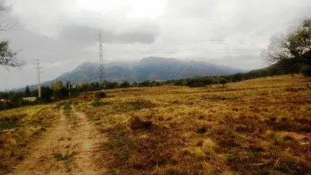 Venta Terreno 3 ha - Autopista 25 de Mayo 1500 - San Luis