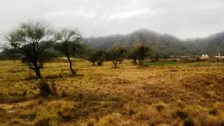 Venta Terreno 3 ha - Autopista 25 de Mayo 1500 - San Luis foto 2