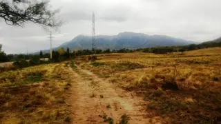 Venta Terreno 3 ha - Autopista 25 de Mayo 1500 - San Luis foto 4