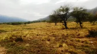 Venta Terreno 3 ha - Autopista 25 de Mayo 1500 - San Luis foto 5