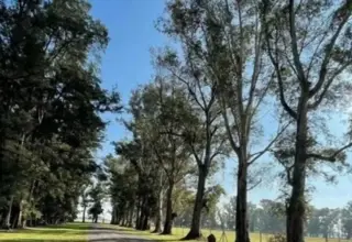 VENTA DE LOTE EN BARRIO LOS TRES PINOS foto 3