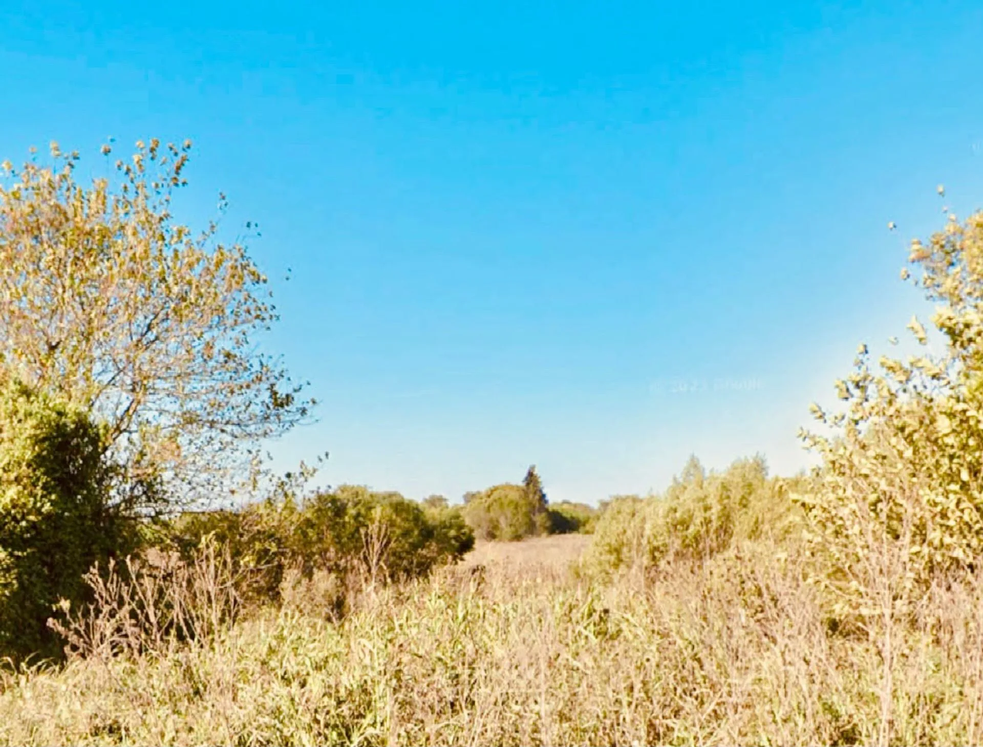3 Hectáreas zona Quintas al Este, Paraná foto 4