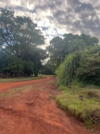 Venta Hectáreas Garupa Misiones foto 5