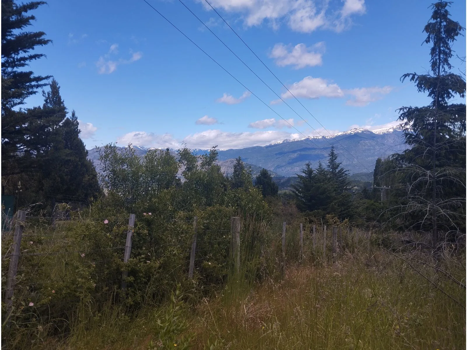 (011) LAS GOLONDRINAS (Lago Puelo) Terreno de media hectárea foto 4