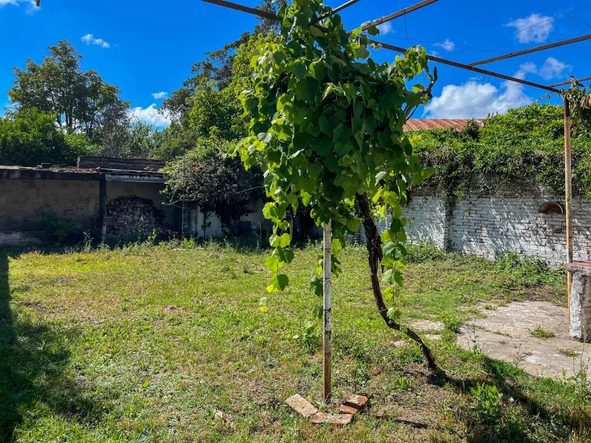 Casa 2 dormitorios, Av. Ejército en planta baja foto 3