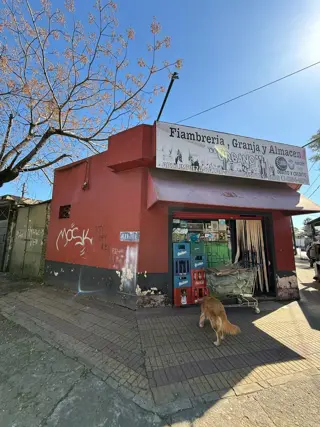 VIVIENDA CON LOCALES SOBRE LOTE EN ESQUINA DE 10X25. foto 3