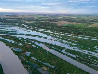 Campo en venta en Santa Rosa sobre Ruta 1 foto 3