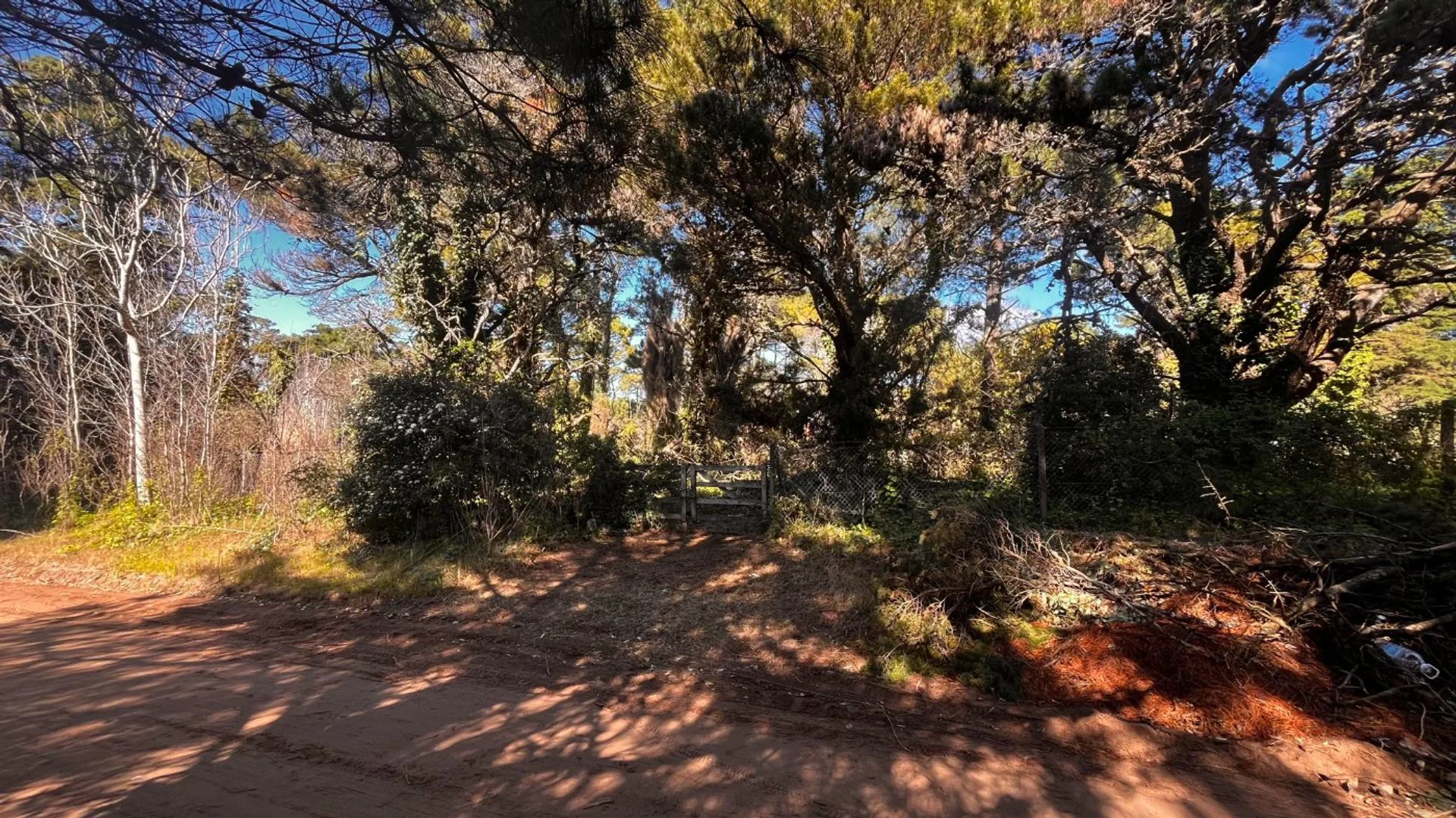 VENTA DE LOTE EN CARILÓ PINAMAR. A MTS DEL MAR foto 2