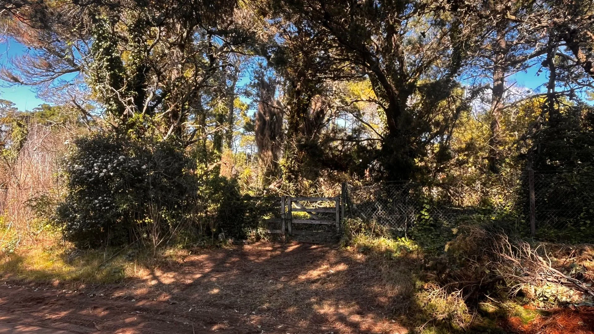 VENTA DE LOTE EN CARILÓ PINAMAR. A MTS DEL MAR foto 4