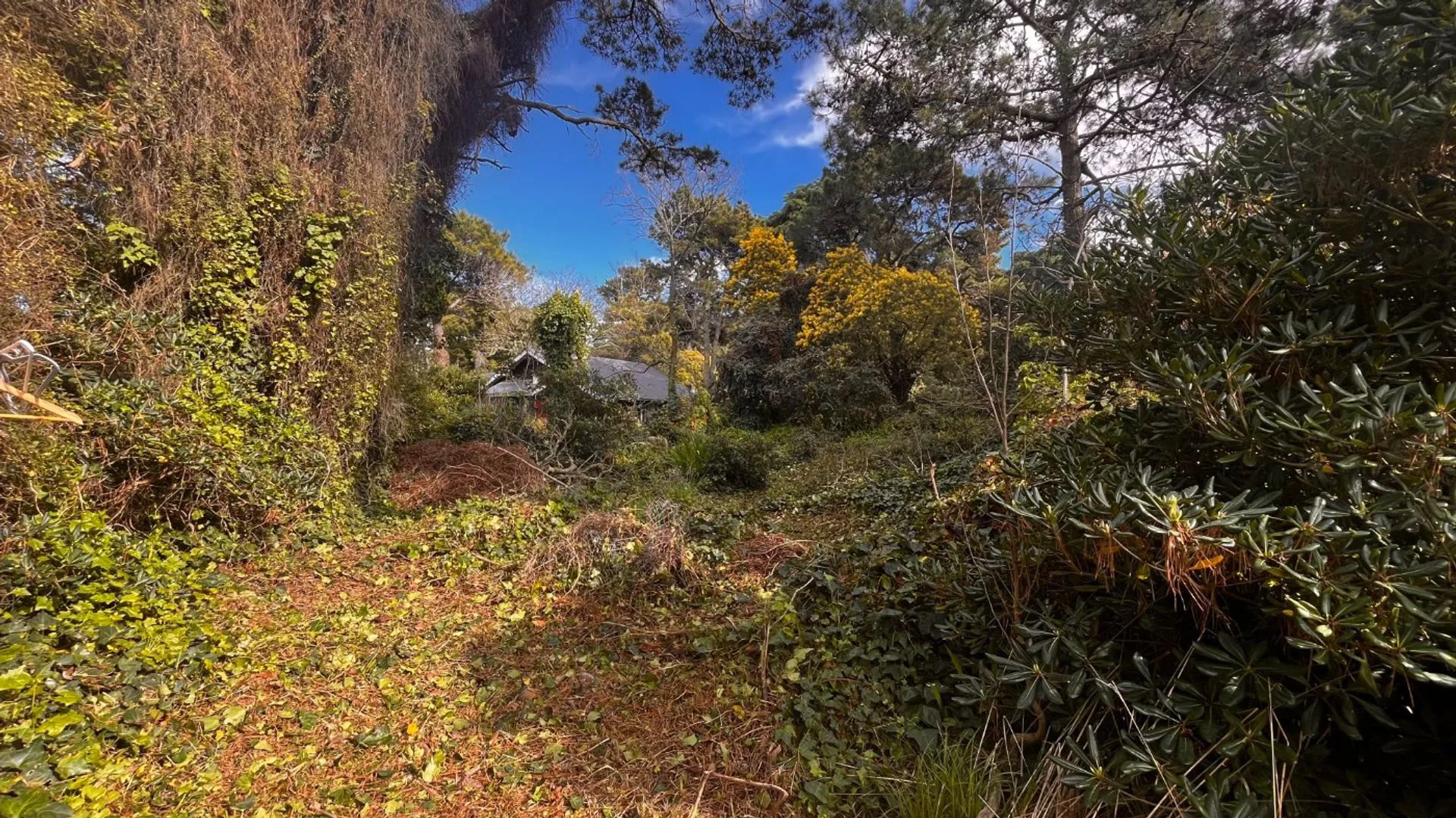 VENTA DE LOTE EN CARILÓ PINAMAR. A MTS DEL MAR foto 5