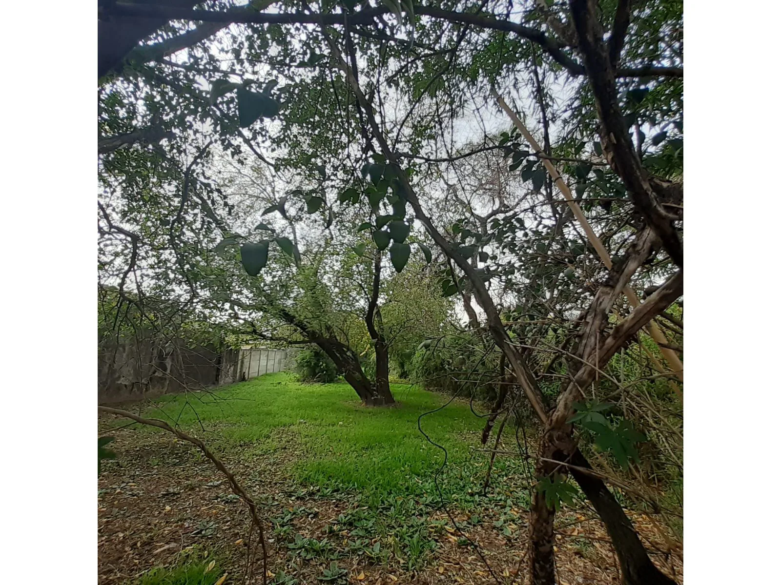 LOTE DE GRAN TAMAÑO | HURLINGHAM | OPORTUNIDAD PARA CONSTRUIR foto 2