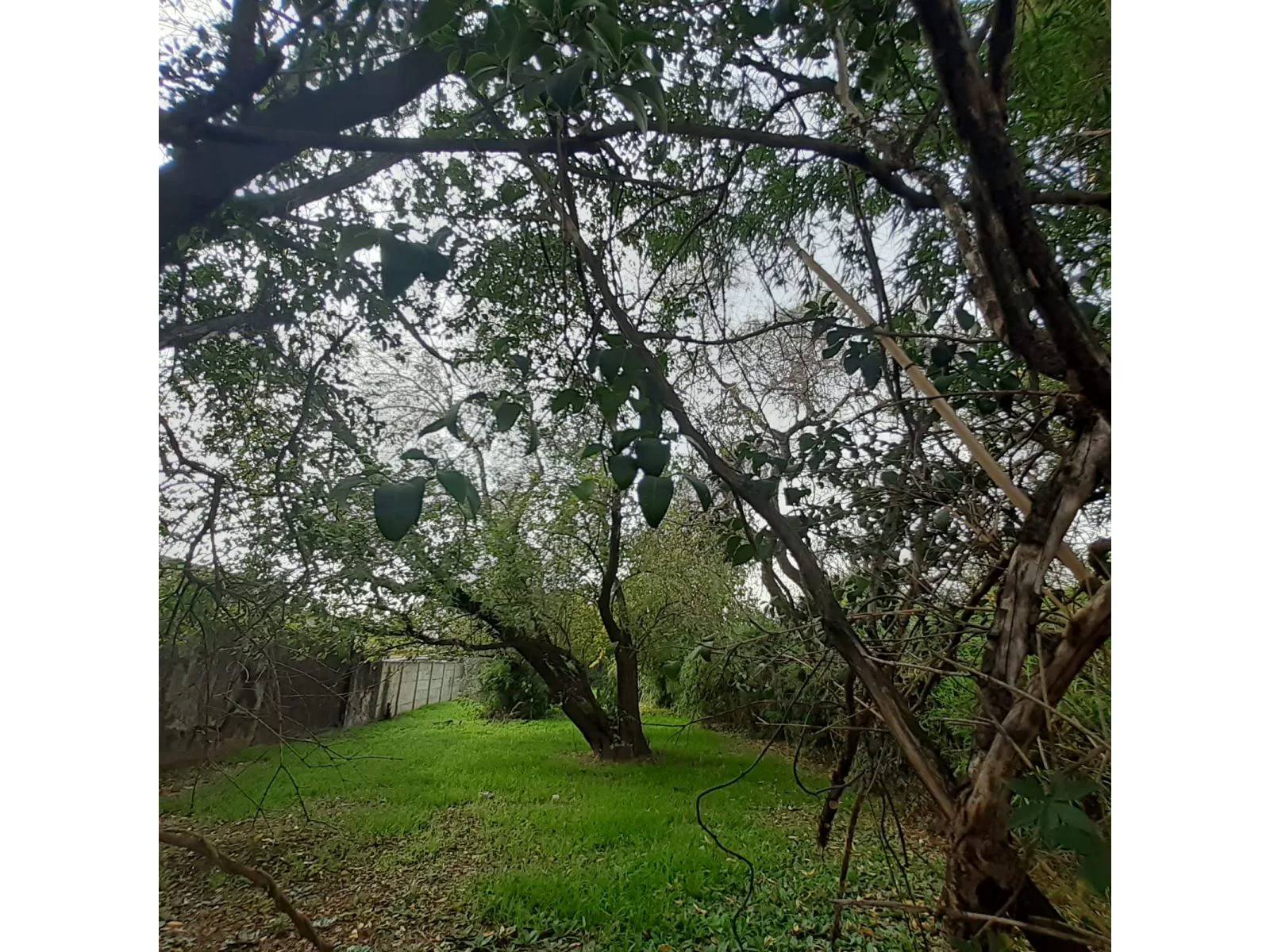 LOTE DE GRAN TAMAÑO | HURLINGHAM | OPORTUNIDAD PARA CONSTRUIR foto 3