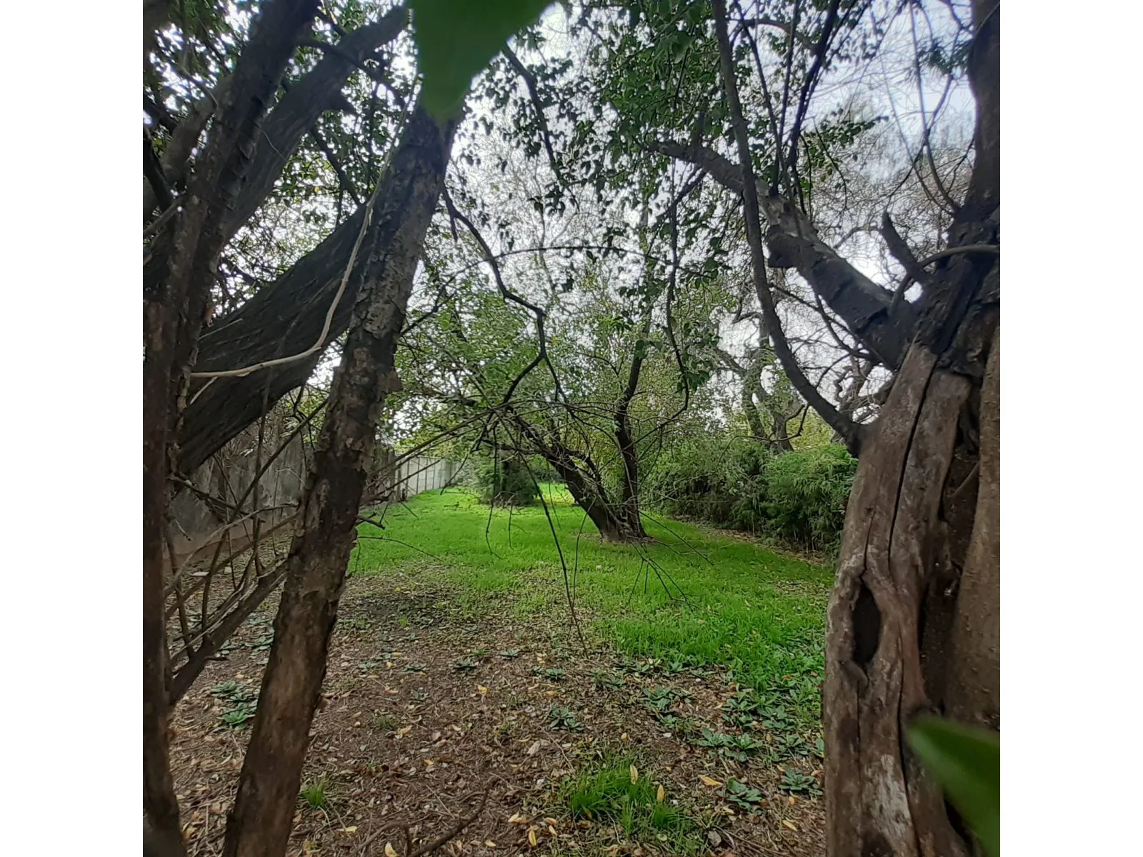 LOTE DE GRAN TAMAÑO | HURLINGHAM | OPORTUNIDAD PARA CONSTRUIR foto 4