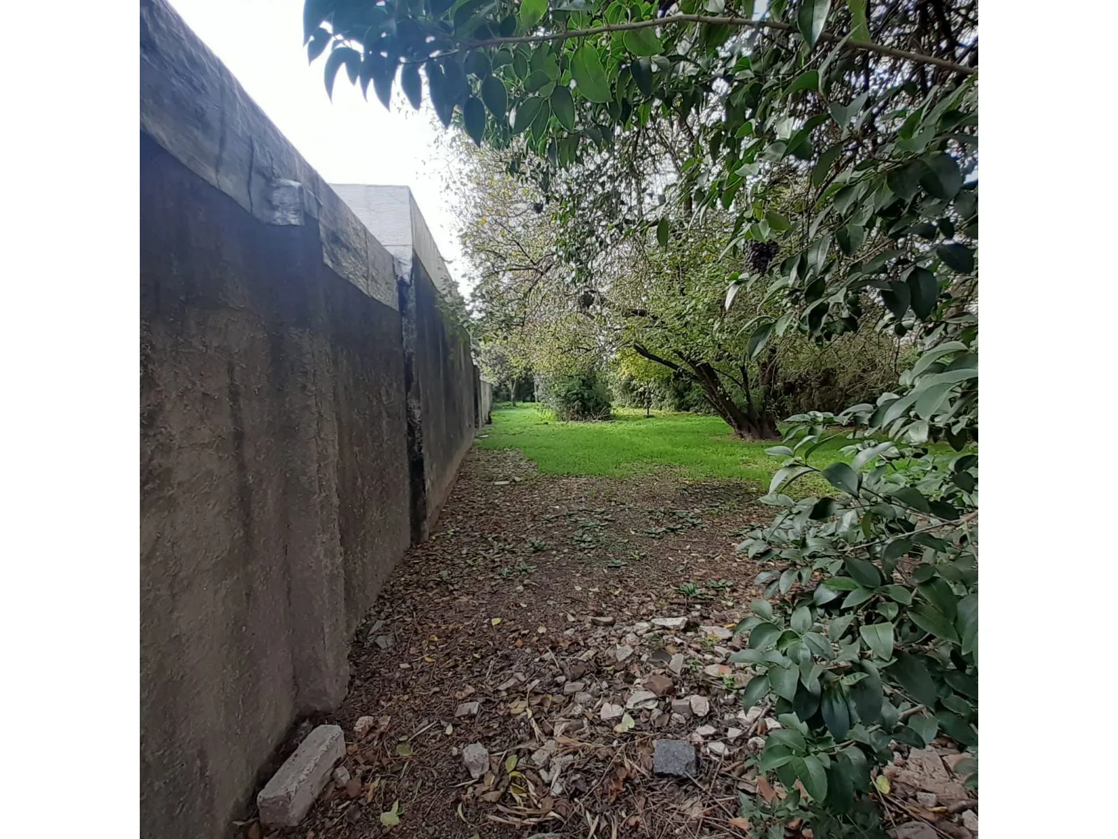 LOTE DE GRAN TAMAÑO | HURLINGHAM | OPORTUNIDAD PARA CONSTRUIR foto 5