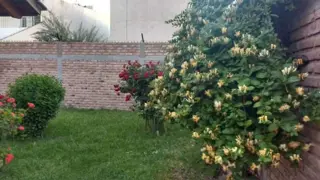 Casa 4 ambientes Neuquén foto 3