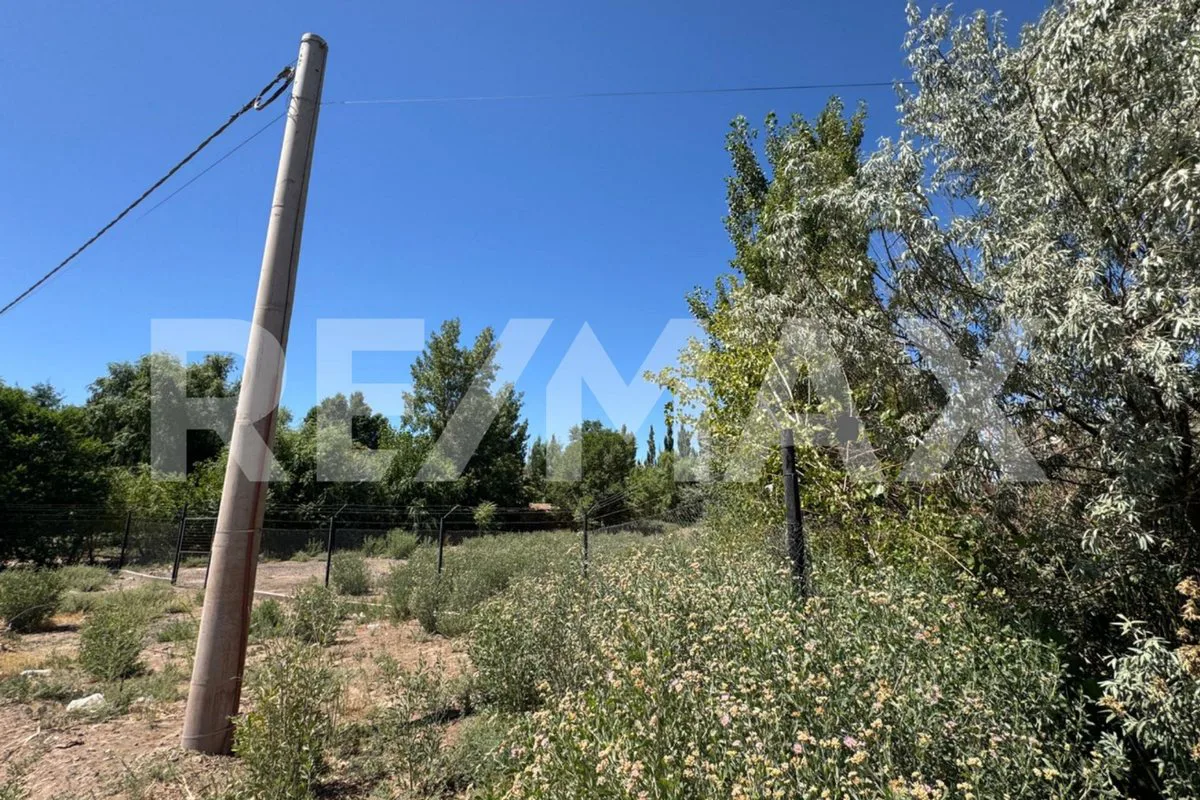 Venta Lote 3005 m2 AÑELO foto 5
