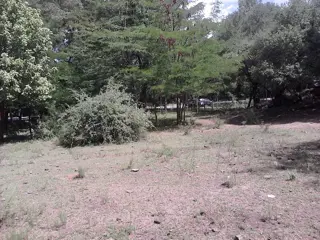 Venta Lote – Ruta 9 30500 – El Trapiche – San Luis foto 3